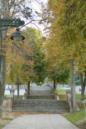 Stone stairs in the park in autumn with yellow leaves on the groundの写真素材