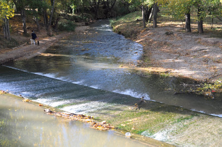 Autumn landscape with a small riverの写真素材