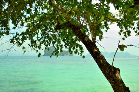 koh ngai islandの写真素材