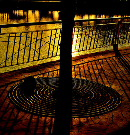 shadow and golden light の写真素材