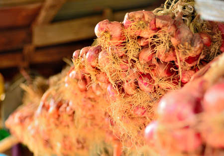 seeds of red onion の写真素材