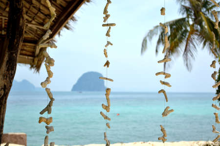 the corals on the beach at Ngai island Thailandの写真素材