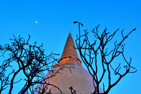 ong bra pathom chedi is the big golden chedi in Thailand - the top of the big chedi and the trees on eveningの写真素材