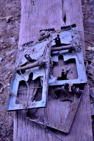 the art of the three old rat trapsの写真素材