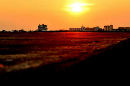 sunset yellow and redfloorの写真素材