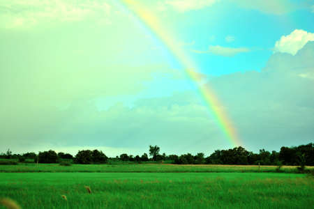 field and rainbowの写真素材