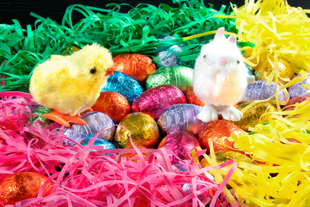 Close-up of a chick and a bunny meeting on an easter nest の写真素材