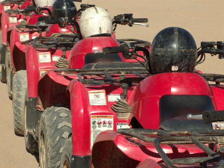 Rally technics in the Egyptian  