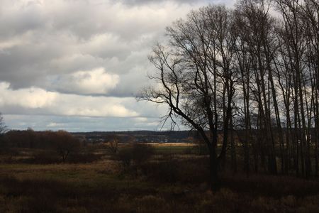 November dull day. Depressing autumn grey landscape.の写真素材