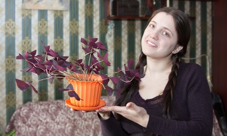 Attractive woman with oxalis flower in the pot at her homeの写真素材