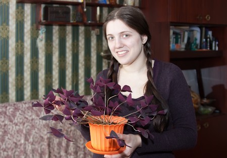 Attractive woman with oxalis flower in the pot at her homeの写真素材
