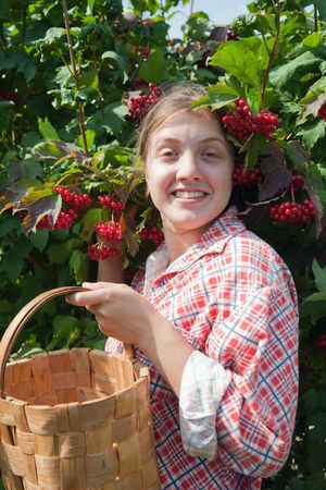 young woman is picking of  viburnum in the fieldの写真素材