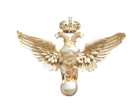 Golden eagle, isolatedの写真素材