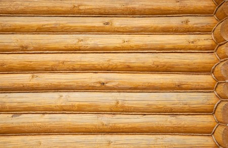 Natural background pattern of pine balk wallの写真素材