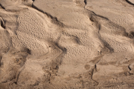 Background of sand surface after rain