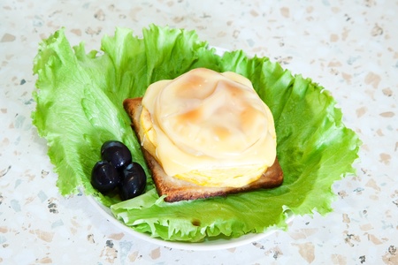 cooked baked stuffed vegetable marrow.
See in series stages of cooking of stuffed vegetable marrow の写真素材