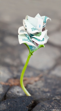 Young money sprout makes the way through asphalt on city roadの写真素材