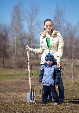 mother and son with spade outdoors planting  treeの写真素材