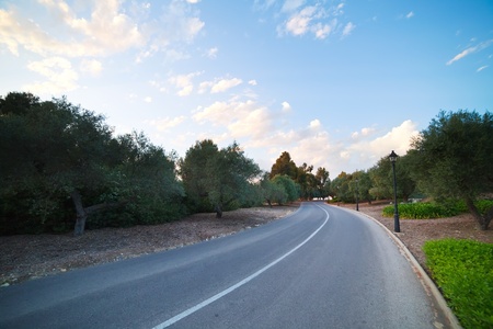 asphalt road through mediterranean landscapeの写真素材