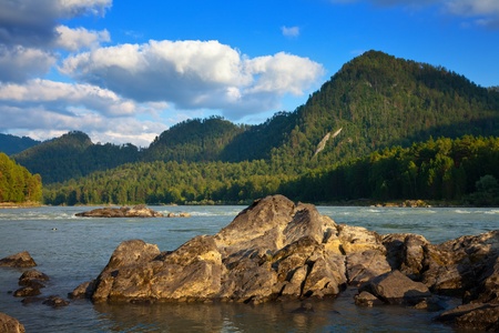 Mountains river with forest riverside.  Katun, Altai, Siberia の写真素材
