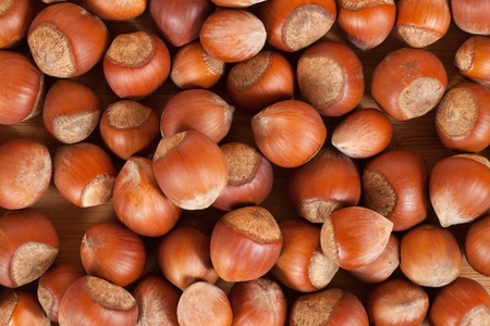 Background of ripe brown hazelnuts. Shallow DOFの写真素材