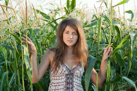 Young woman in corn plantの写真素材