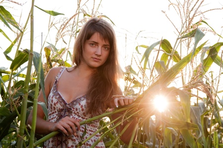 Young woman in corn plantの写真素材