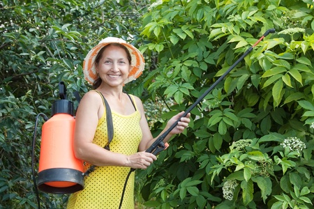 Mature woman spraying tree plant in orchardの写真素材