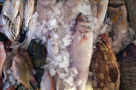 Raw fresh fish on market counter