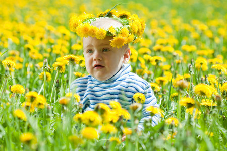 Little baby in flowers wreath in meadowの写真素材