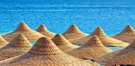 Top view of resort parasol の写真素材