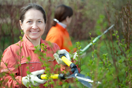 Two women trimming bough of an bush