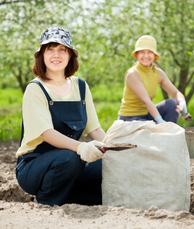 Two women fertilizes the soil in gardenの写真素材