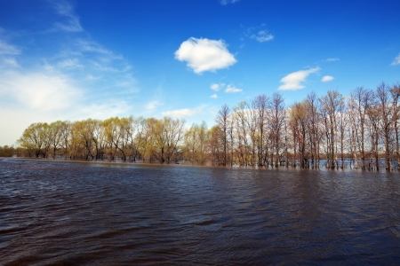 Spring landscape with flooded treesの写真素材