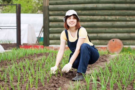 Young  woman  working in field of onionの写真素材