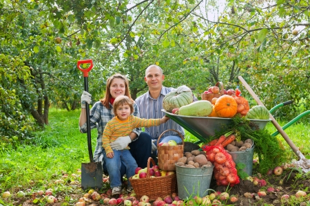 Happy parents and child with  harvested vegetables in gardenの写真素材