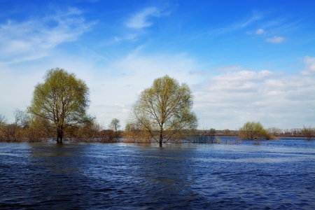 Spring landscape with flooded treesの写真素材