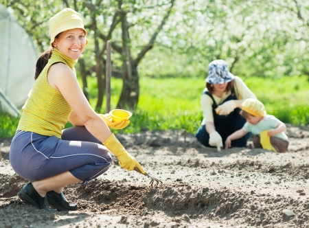 women and kid sows seeds in soil at fieldの写真素材