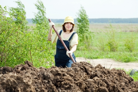 Woman works with animal manure at fieldの写真素材