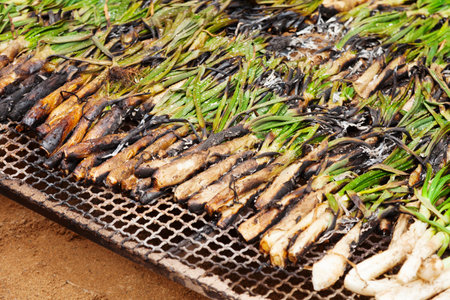 grilled calsot during CalÑotada in Valls