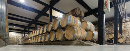  contemporary winery with  many wooden barrelsの写真素材