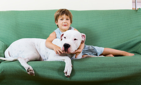 small happy girl on couch with dogo Argentino (focus on dog) の写真素材