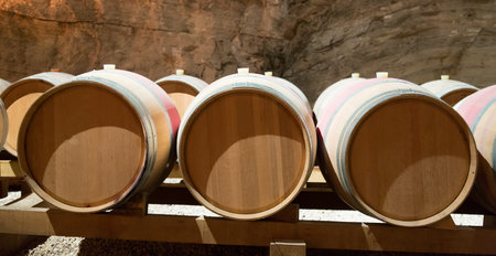 Interior of french winery with  wooden barrels  