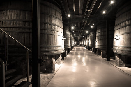 Vintage photo of wine cellar
