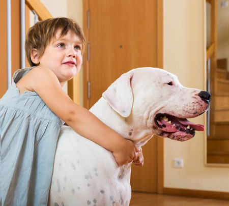 Happy smiling cute little girl hugging big white dog at homeの写真素材