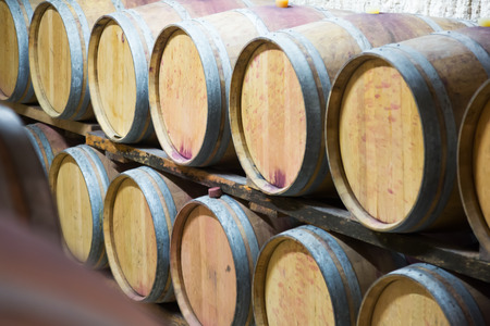 Rows of   wooden barrels in french winemaker  の写真素材