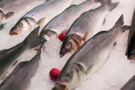 Raw mediterranean seabass on spanish market counterの写真素材