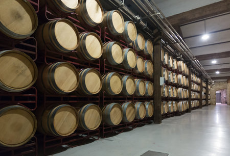 Many wooden barrels in rows at contemporary winery factory