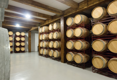 Interior of  contemporary winery with  wooden barrels in rows