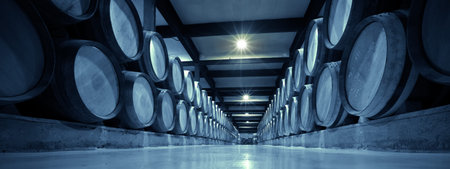 Aged photo of winery with  many  barrels in rows